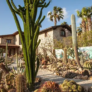 botanical-park-garden-cactus.sicilyhotelsitaly.net/